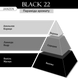 Спрей для помещений JANZEN Black 22, 500 мл 62222 фото 3